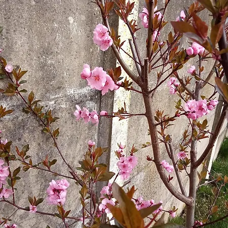 Chemin De Traverse Europe